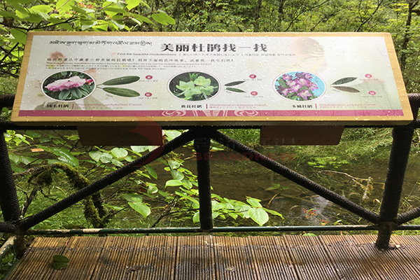 景區標識 景區標識